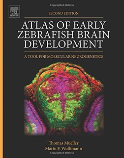 Thomas' Atlas of Early Zebrafish Brain Development Photo